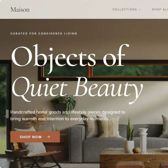 Ekran Alintisi35465 Shopify Development Partner Pratikis.com