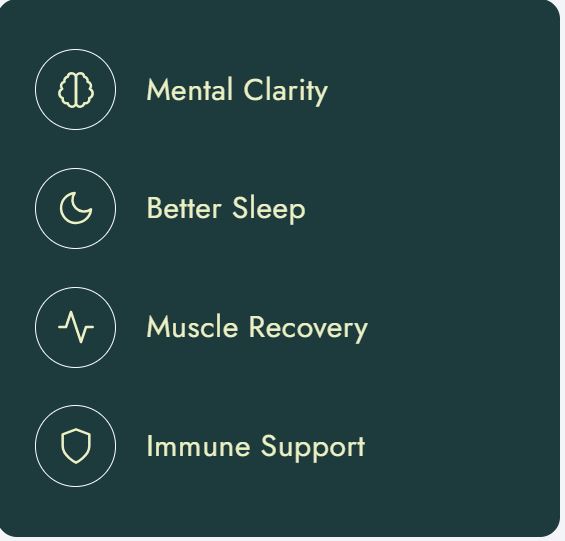 Shopify Iconic Benefits Card Section